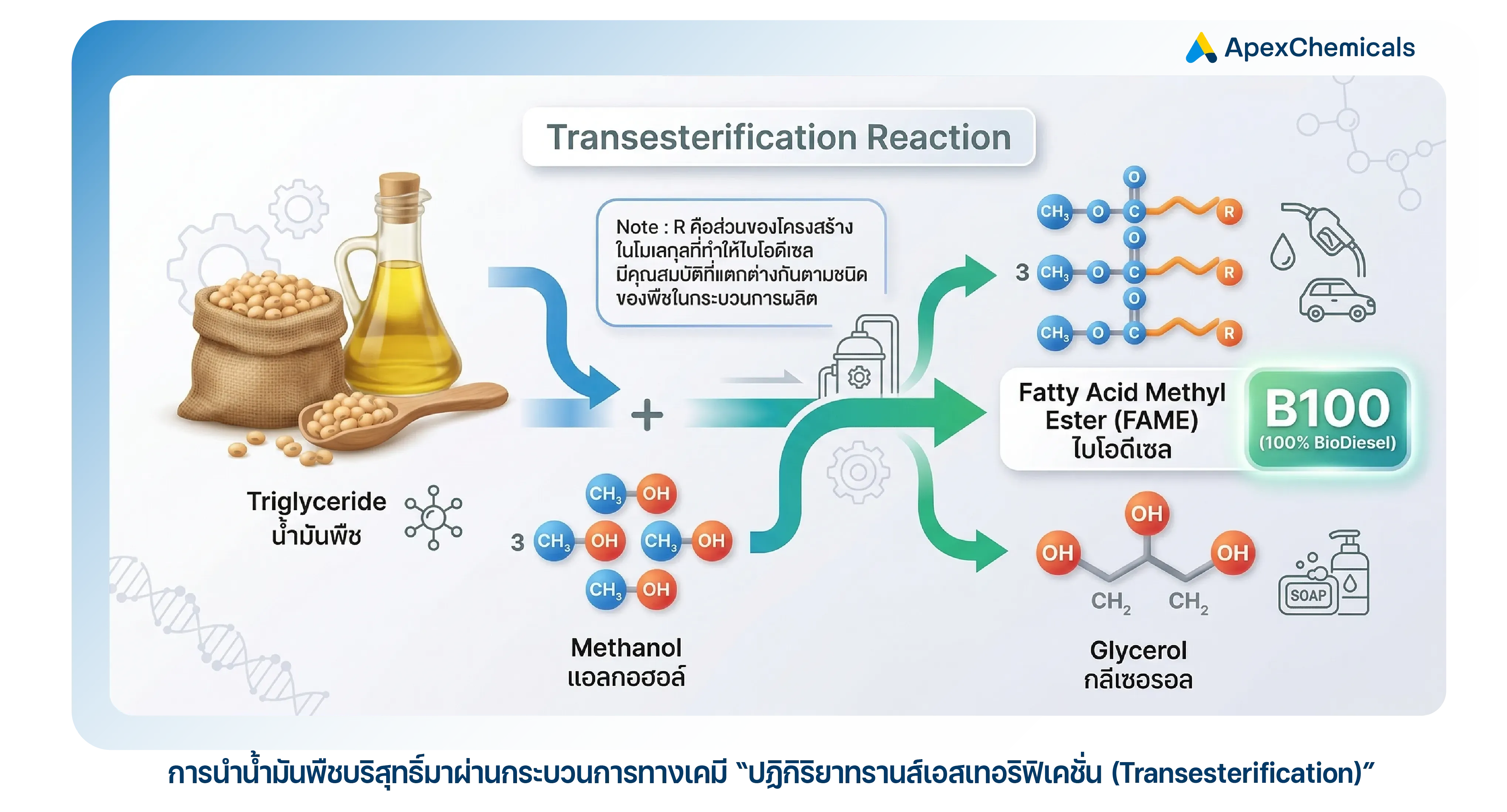 ไบโอดีเซลผลิตจากปฏิกิริยาทรานส์เอสเทอริฟิเคชัน (Transesterification)