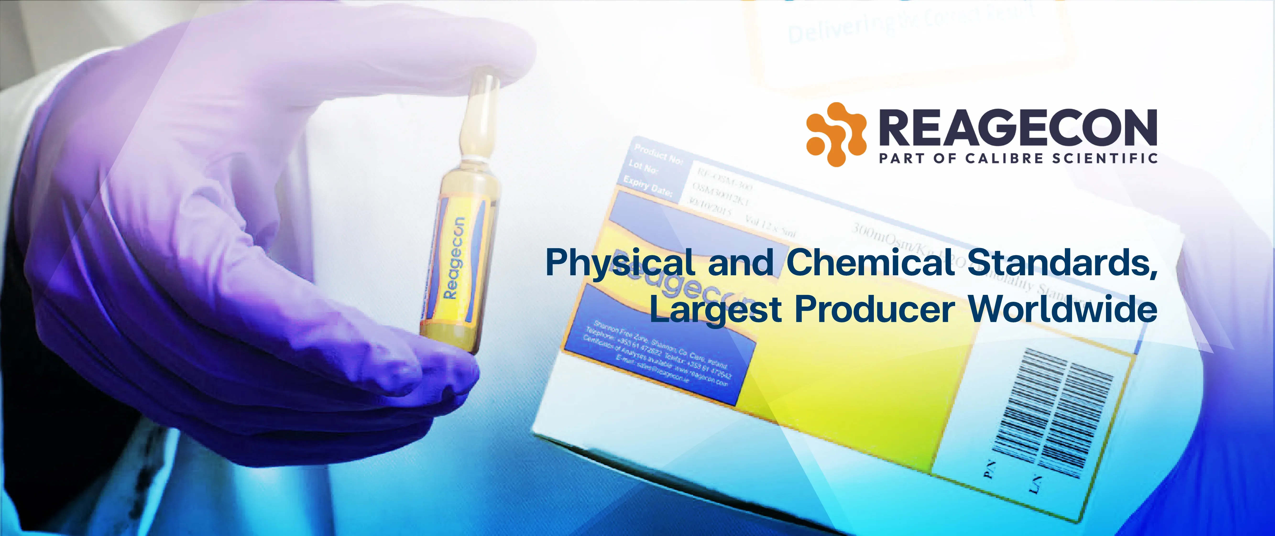Brand Banner-08.webp
