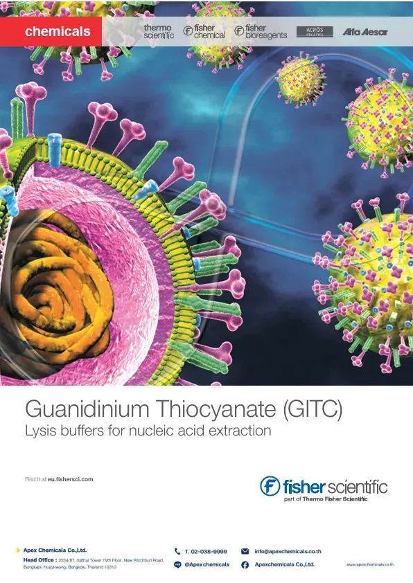 Guanidinium Thiocyanate (GITC) Lysis Buffer