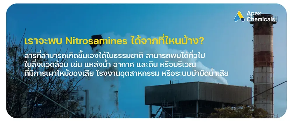 เราจะพบ Nitrosamine ได้จากที่ไหนบ้าง