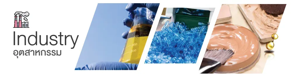 ผลิตภัณฑ์ที่ได้จาก Oleochemicals ถูกนำไปใช้เป็นสารสำคัญในอุตสาหกรรมต่างๆ 