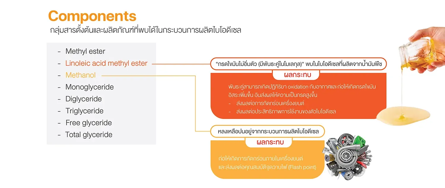 สารตั้งต้นและผลิตภัณฑ์ที่พบได้ในกระบวนการผลิตไบโอดีเซล