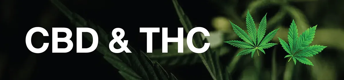 สารประกอบในกัญชงและกัญชา CBD และ THC มีผลการออกฤทธิ์ที่แตกต่างกัน
