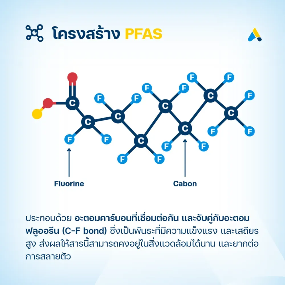 PFAS หรือ The forever chemicals 